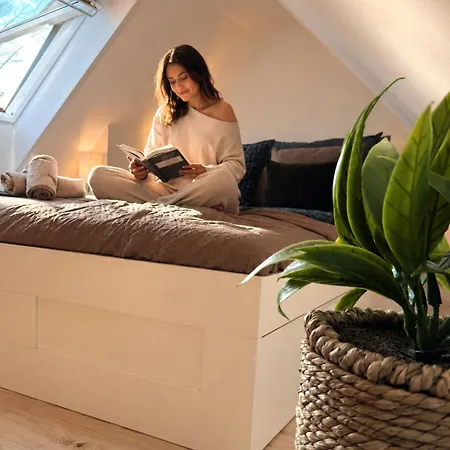 Brombachsee-auszeit Cozy Maisonette Netflix Pleinfeld