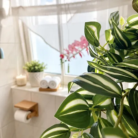 Brombachsee-auszeit Cozy Maisonette Netflix Appartement *